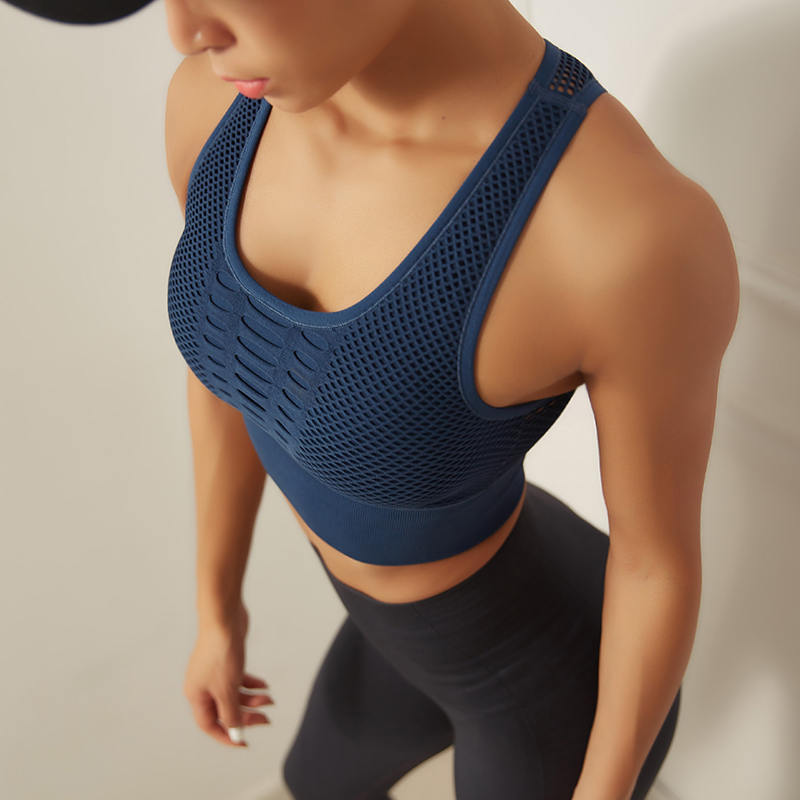 Laser Mesh Sports Bra