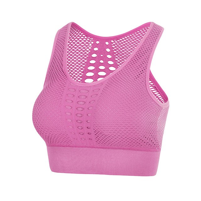 Laser Mesh Sports Bra